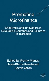 bokomslag Promoting Microfinance