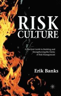 bokomslag Risk Culture