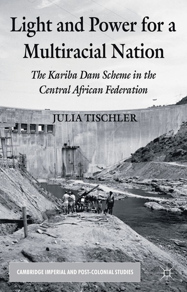 bokomslag Light and Power for a Multiracial Nation