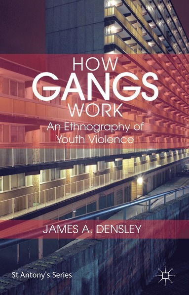 bokomslag How Gangs Work