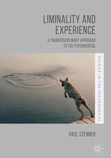 Paul Stenner - Liminality and Experience, Inbunden