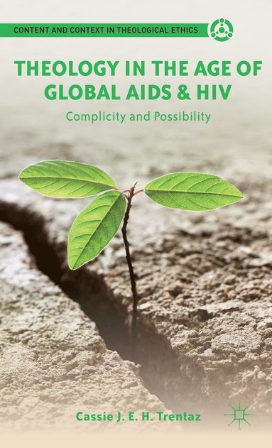 bokomslag Theology in the Age of Global AIDS & HIV