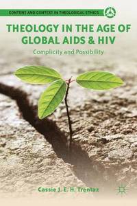 bokomslag Theology in the Age of Global AIDS & HIV