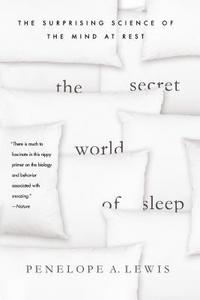 bokomslag Secret World of Sleep