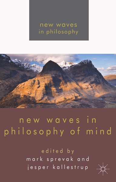 M. Sprevak, J. Kallestrup - New Waves in Philosophy of Mind, Häftad