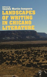 bokomslag Landscapes of Writing in Chicano Literature