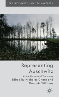 bokomslag Representing Auschwitz