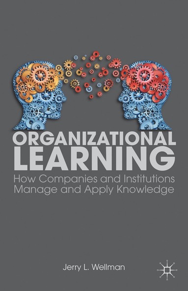 bokomslag Organizational Learning