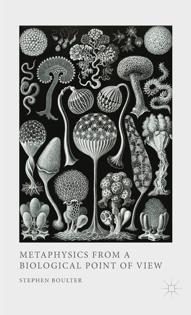 bokomslag Metaphysics from a Biological Point of View