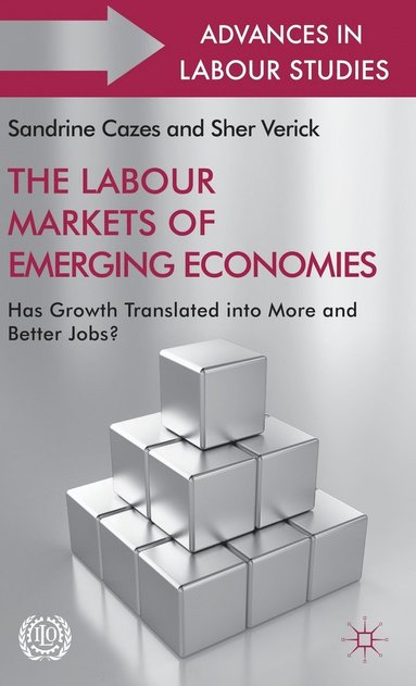 bokomslag The Labour Markets of Emerging Economies