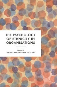 bokomslag The Psychology of Ethnicity in Organisations