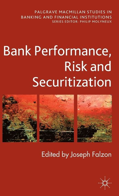 bokomslag Bank Performance, Risk and Securitisation
