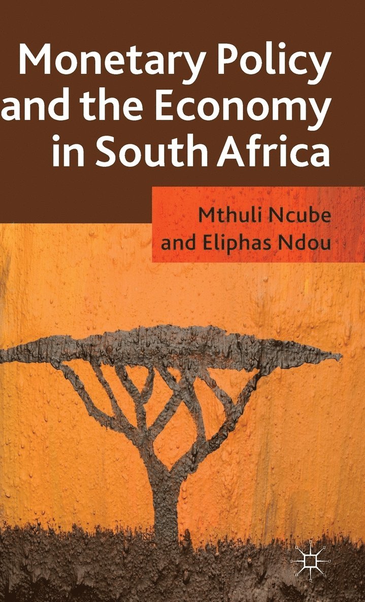 M. Ncube, E. Ndou, Mthuli Ncube, Eliphas Ndou - Monetary Policy and the Economy in South Africa, Inbunden