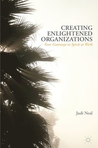 bokomslag Creating Enlightened Organizations