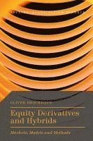 bokomslag Equity Derivatives and Hybrids