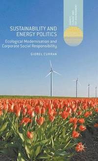 bokomslag Sustainability and Energy Politics