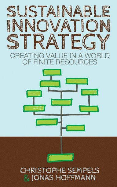 bokomslag Sustainable Innovation Strategy: Creating Value in a World of Finite Resources