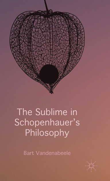 bokomslag The Sublime in Schopenhauer's Philosophy