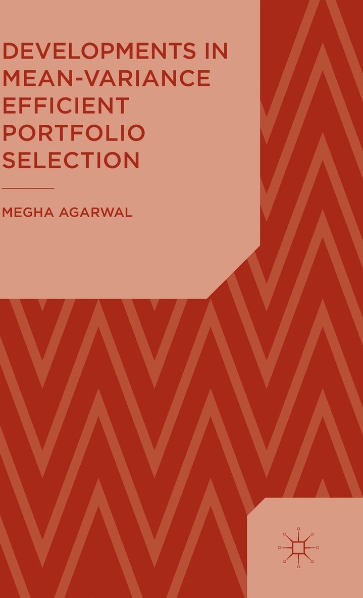 Developments in Mean-Variance Efficient Portfolio Selection 1