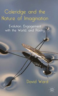 bokomslag Coleridge and the Nature of Imagination