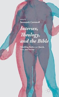 bokomslag Intersex, Theology, and the Bible