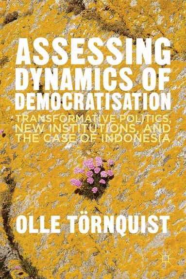O. Törnquist - Assessing Dynamics of Democratisation, Inbunden