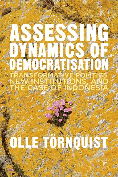 bokomslag Assessing Dynamics of Democratisation