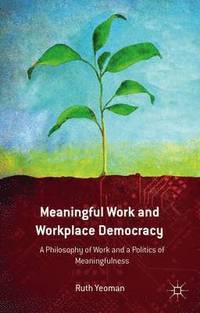 bokomslag Meaningful Work and Workplace Democracy