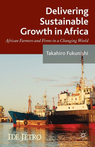 bokomslag Delivering Sustainable Growth in Africa