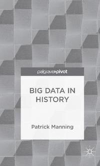 bokomslag Big Data in History