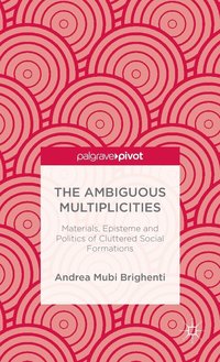 bokomslag The Ambiguous Multiplicities