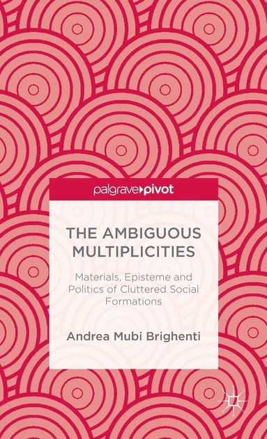 bokomslag Ambiguous Multiplicities