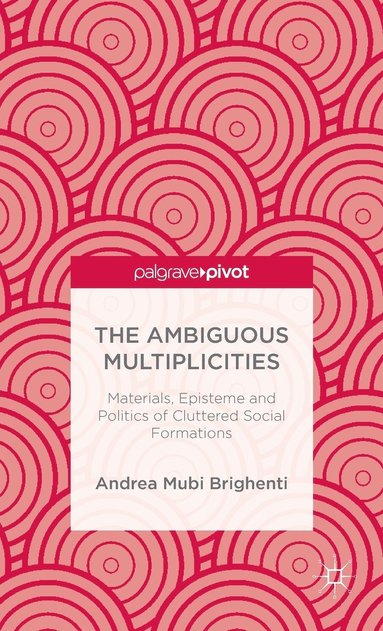 bokomslag The Ambiguous Multiplicities