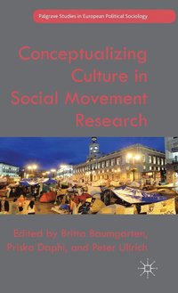 bokomslag Conceptualizing Culture in Social Movement Research