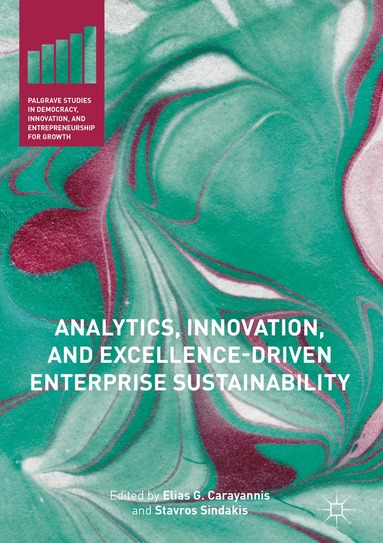 Elias G. Carayannis, Stavros Sindakis - Analytics, Innovation, and Excellence-Driven Enterprise Sustainability, Inbunden