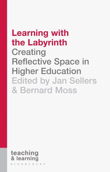 Jan Sellers, Bernard Moss, Sally Brown - Learning with the Labyrinth, Häftad