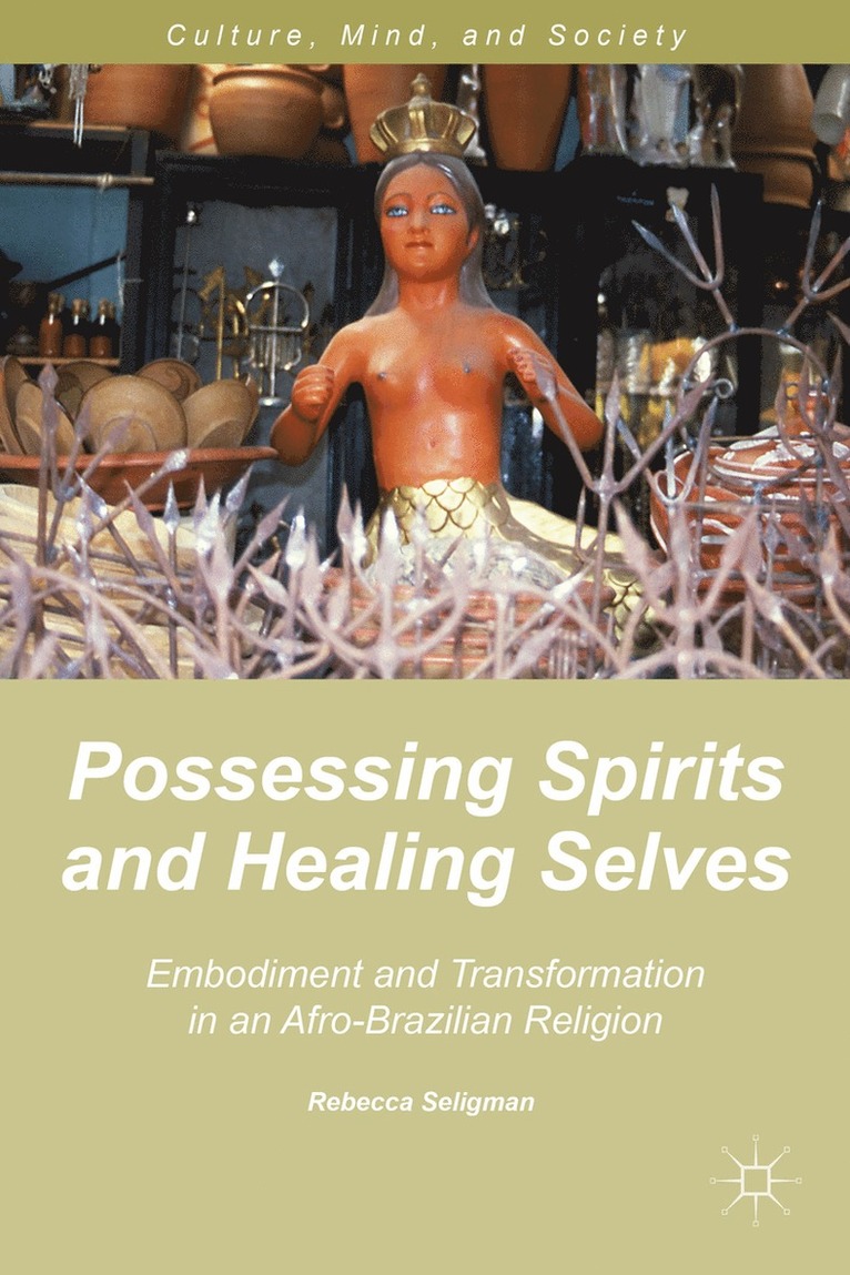 R. Seligman, Rebecca Seligman - Possessing Spirits and Healing Selves, Inbunden
