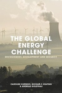 bokomslag The Global Energy Challenge