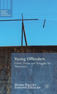 bokomslag Young Offenders