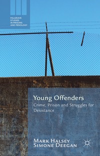 bokomslag Young Offenders