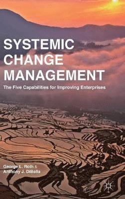 bokomslag Systemic Change Management