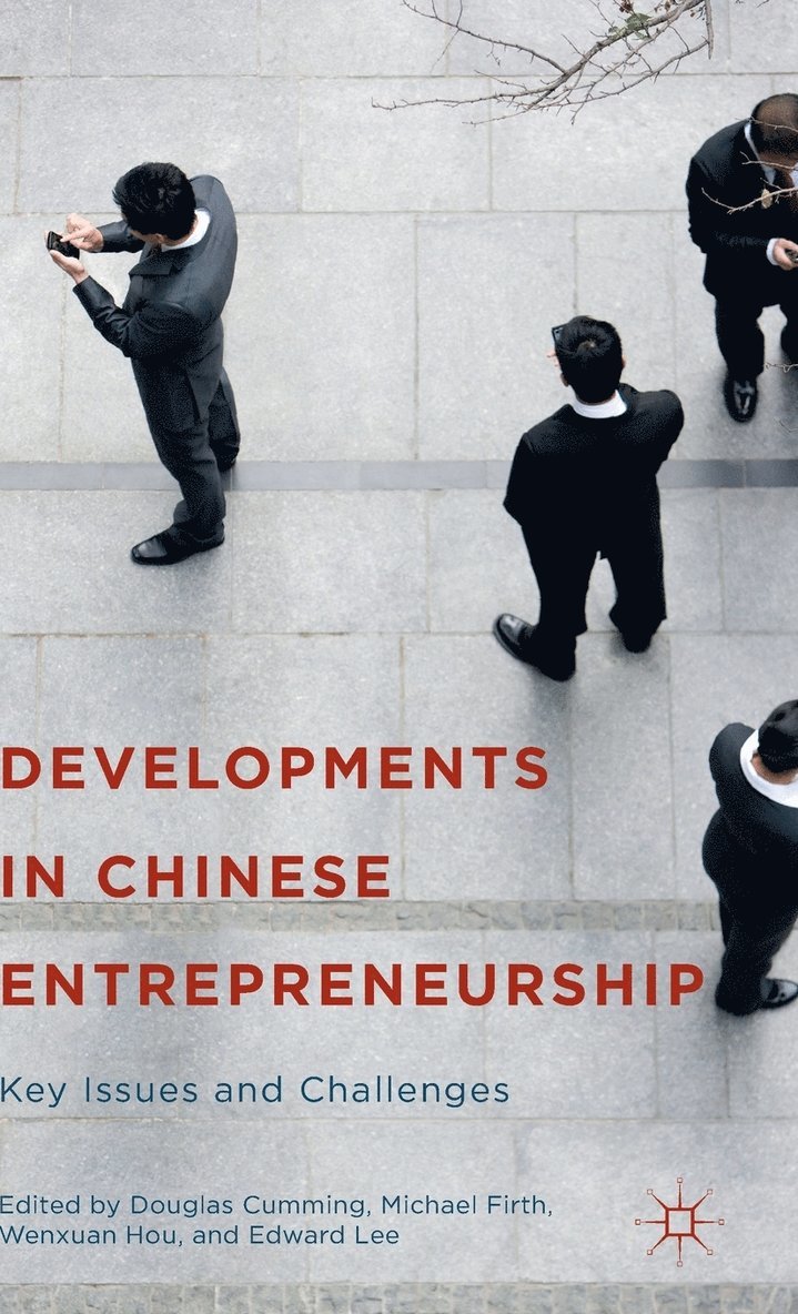Developments in Chinese Entrepreneurship 1