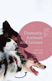 bokomslag Domestic Animals and Leisure