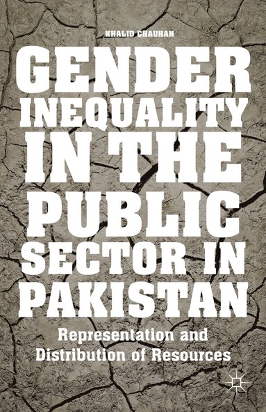 bokomslag Gender Inequality in the Public Sector in Pakistan