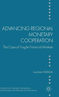 bokomslag Advancing Regional Monetary Cooperation