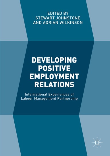 Stewart Johnstone, Adrian Wilkinson - Developing Positive Employment Relations, Inbunden