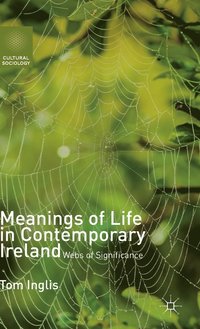 bokomslag Meanings of Life in Contemporary Ireland