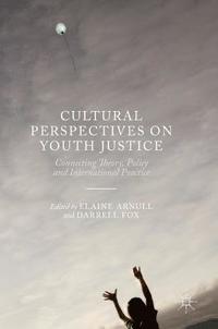 bokomslag Cultural Perspectives on Youth Justice