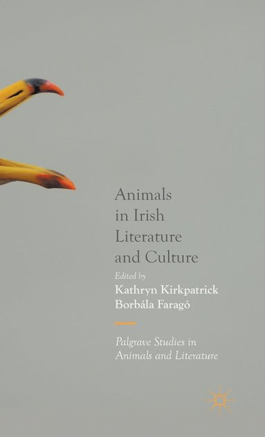 bokomslag Animals in Irish Literature and Culture