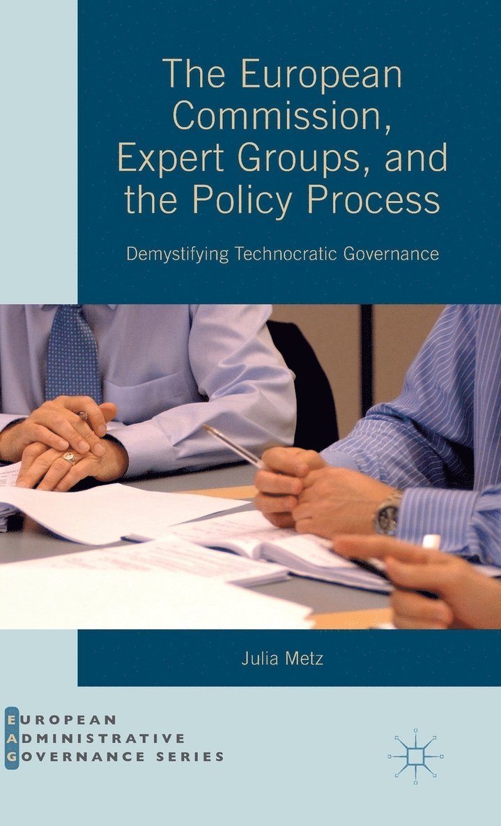 The European Commission, Expert Groups, and the Policy Process 1